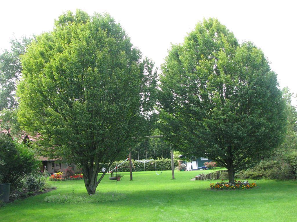Ferienwohnung Urlaubsdomizil im Grünen Westerstede Exterior foto
