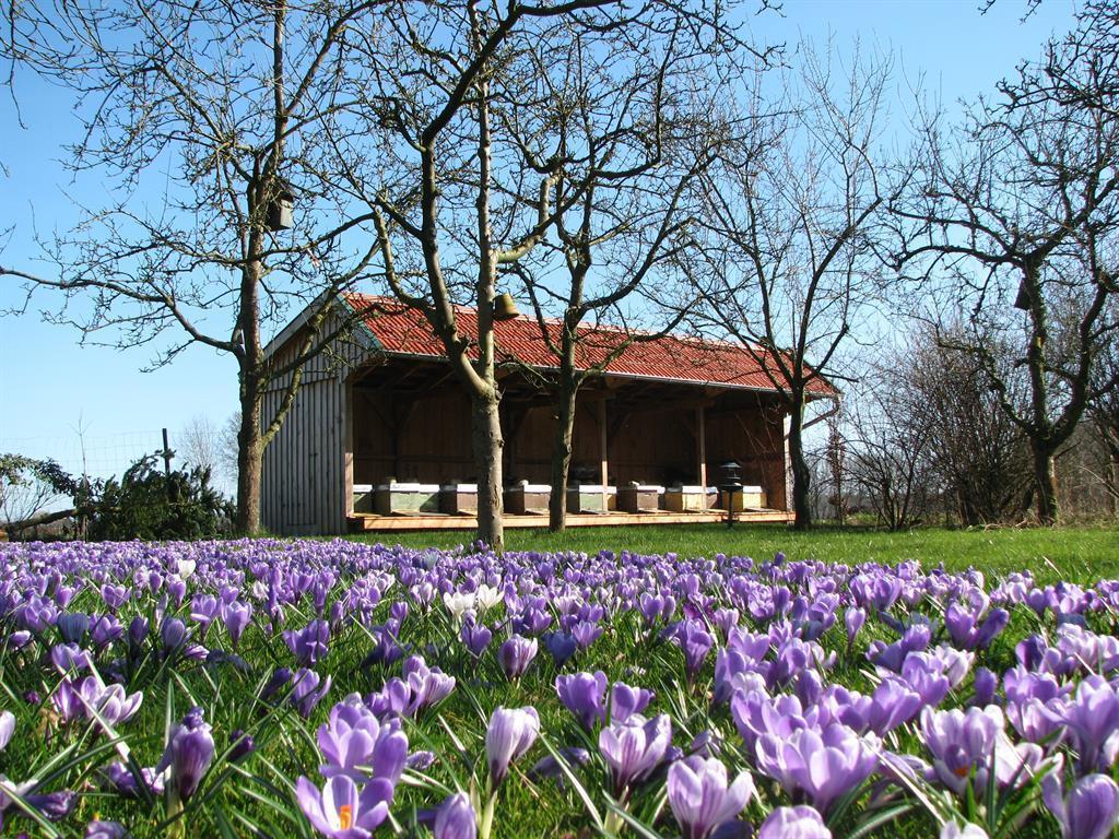 Ferienwohnung Urlaubsdomizil im Grünen Westerstede Exterior foto